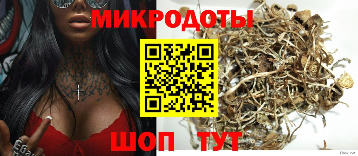 Псилоцибиновые грибы Psilocybe  Псилоцибиновые грибы GOLDEN TEACHER  Вход с VPN  продажа наркотиков  Михайловка 